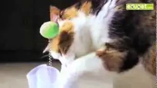 Интерактивная игрушка для кошек Активный кот