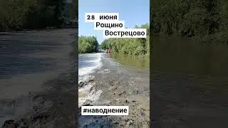 #наводнение #иман #рощино #река #уссури #уссурка #лето #automobile #вездеход #спасатели #спасение
