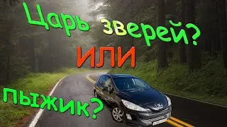 Peugeot 308 обзор. Пежо 308 как с ним жить.