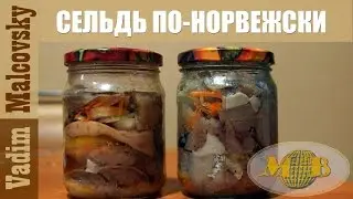 Herring in Norwegian or how to pickle herring in Norwegian. Malkovsky Vadim