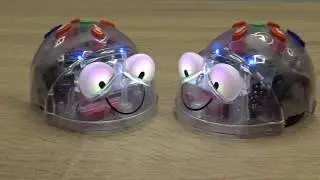 Blue Bot
