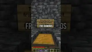 Smartest Minecraft Player (696969+ iq)