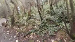 Orienteering In Avon Ri In G Major 15