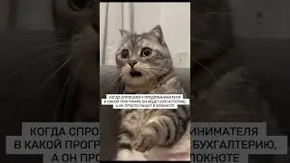 Как упростить ведение бизнеса и быть уверенным, что налоговая не поступиться в ваши двери❓🤔
