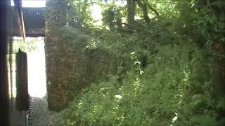 The Bodmin and Wenford Railway by Auto Steam (July 7th 2018)