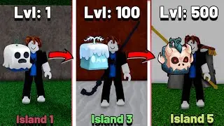 Blox Fruits Noob to Pro, but I Change to Random Fruit every New Island