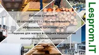 «Как организовать эффективное производство? Решение для малых и средних лесопильных предприятий»