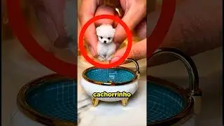 Ninguém achava que ele SOBREVIVERIA! 