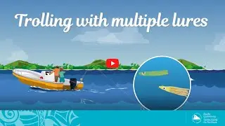 Fish and tips S1 Ep3 (English) - Trolling with multiple lures