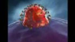 Beauty of Nature - Viruses