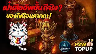 Dragonica Origin : กระเป๋าเสือ Upgrade คริแท้หรือเทียม ! 