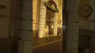 Одесса Приморский бульвар
