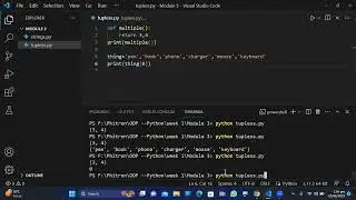 tuples and tuples method in python