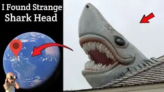 I Found Strange Giant Shark Head 🦈 In Real Life On Google Earth! 📍 🗺  