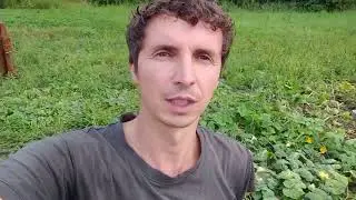 Что дальше будет? И вред от коров.
