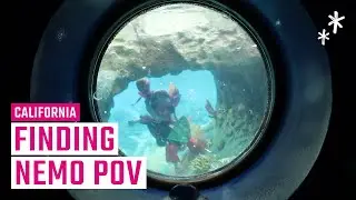 Finding Nemo Submarine Voyage | Disneyland POV