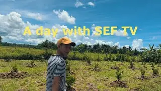 a day with SEF TV