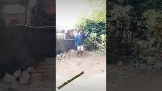 maeba🤣🤣