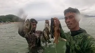 pang ulam lang sana ang target ni KAYAMAN kaso ma2ling ISDA ang nadali