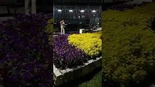Бесхитросные развлечения вечернего Пятигорска