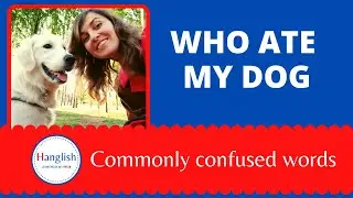 Who ate my dog
