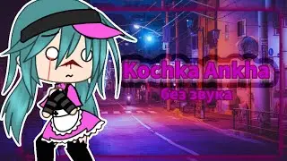 -СМОТРИМ СЛИВ КОШКИ АНКХИ-