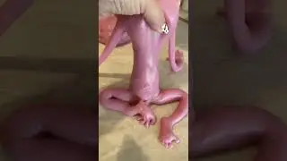 SUPER DUPER SOFT silicone blend baby - experiment 🧫
