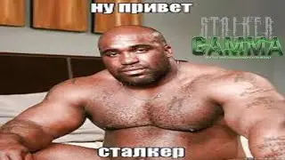 Кратко про S.T.A.L.K.E.R GAMMA