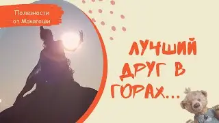 Грелка 🔥 Способы применения и польза