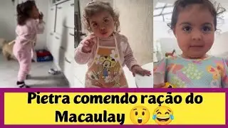 Pietra comendo ração do Macaulay 😲😂