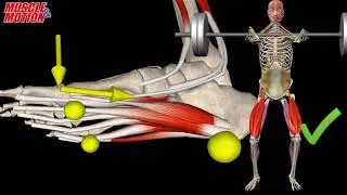 Improve Your Squat | Tripod stand