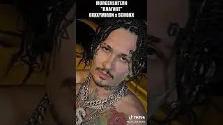 моргенштерн 12 плагиат