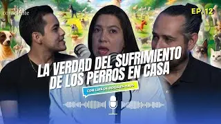 La verdad del sufrimiento de los perros en casa - EP.12 con Luis de Doggies Haus | Vida Consciente