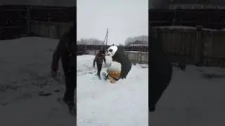 поиграли в футбол