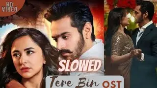 Tere Bin | OST | Slowed Reverb | Lyrics | Geo Entertainment | ft. Yumna Zaidi, Wahaj | Shani Arshad