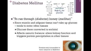 152-Obesity & Diabetes