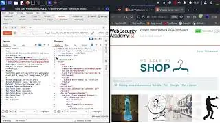 Visible Error-Based SQL Injection | Web Security Academy | Portswigger Labs