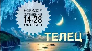 Телец ♉️ Коридор затмений 14-28 октября 2023 года ☀️🌒🗝🔮✨Таро Ленорман прогноз предсказание