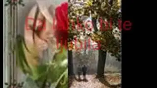 VIKTORIJA Dve pomladi, dve jeseni.flv