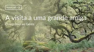 Fotografia de NATUREZA | Uma vista a uma grande amiga | SERRA DO GERÊS