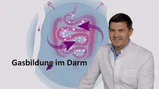 Blähungen - Gasbildung im Darm - Reizdarm und Dünndarmfehlbesiedlung - SIBO