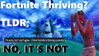 I Think Fortnite is Thriving Currently (Fortnite Chapter 5)