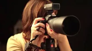 фотостудия «Жёлтый жук»