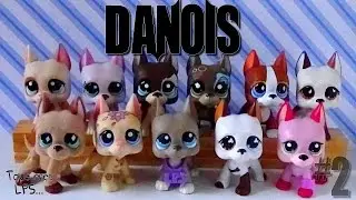 All my LPS Great Danes #2