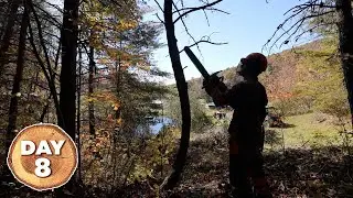 Building a Homestead in 100 Days - Day 8