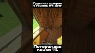 Очень трогательная история Twitch:whispern1ght  