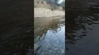 реку пераградили.