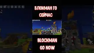 Blockman Go 😝😁 