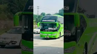 #Yutong #Brand #86Group #Fast #race #bussidlegends #pindicoaches