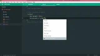 14 - Filler - css